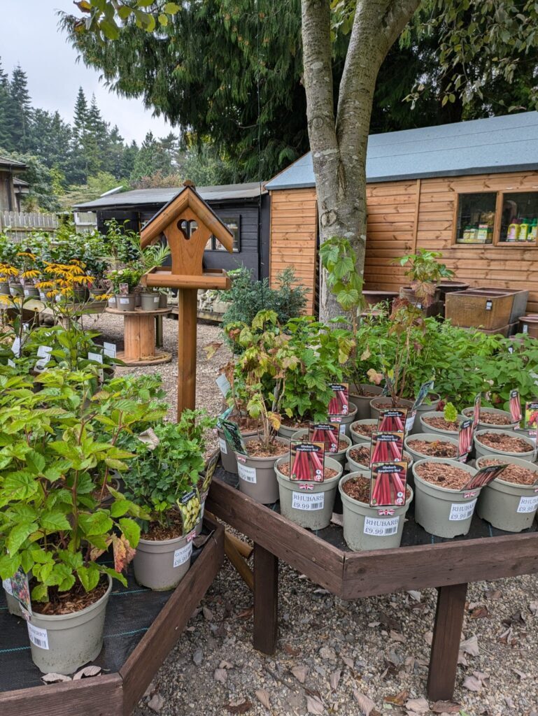 Plants and produce display in the Thorp Perrow Garden Centre