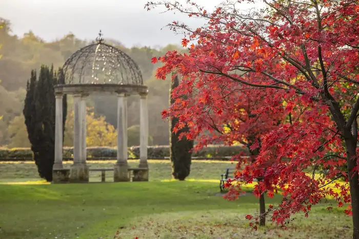 Autumn colour around the monument at Thorp Perrow