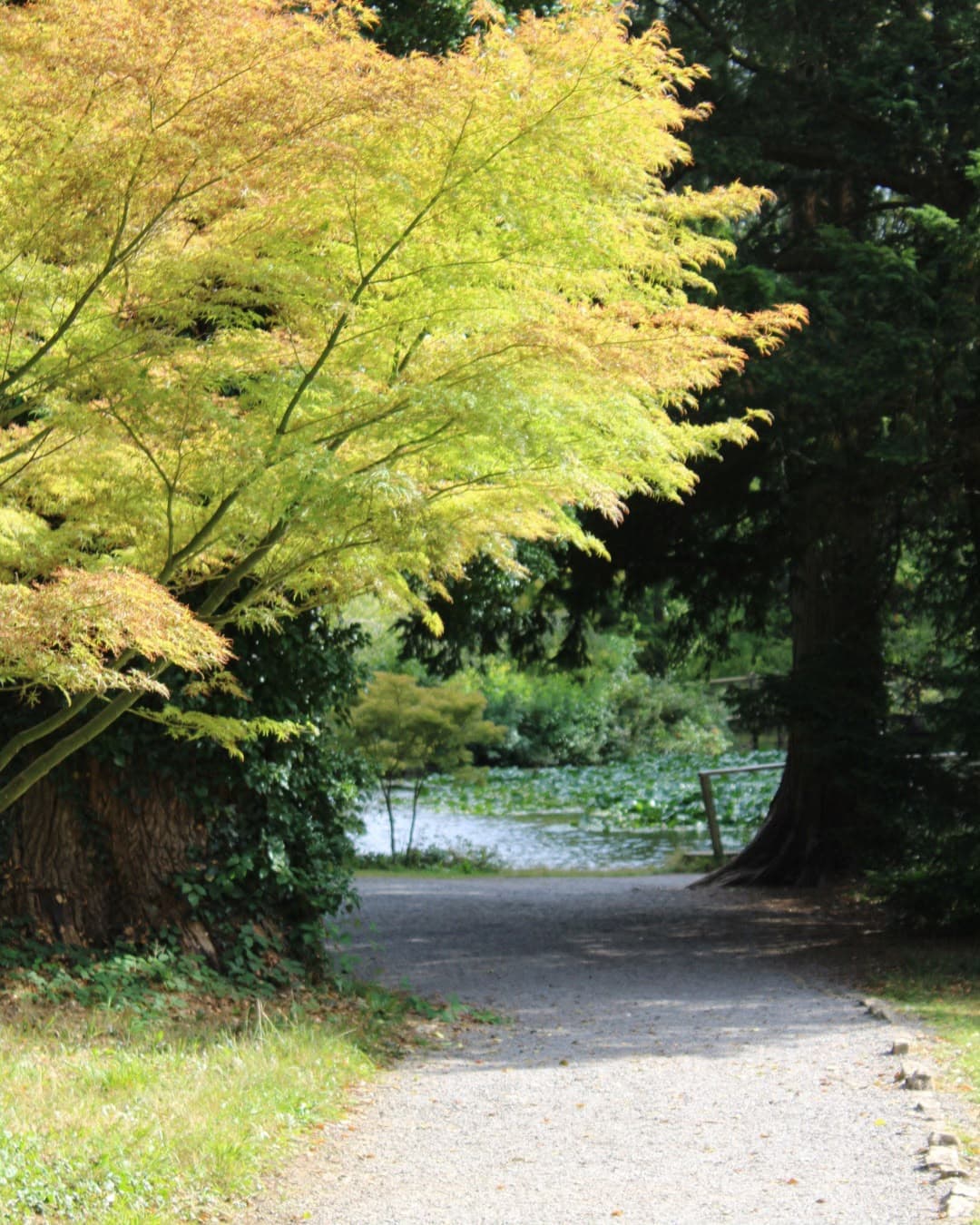 Thorp Perrow Arboretum